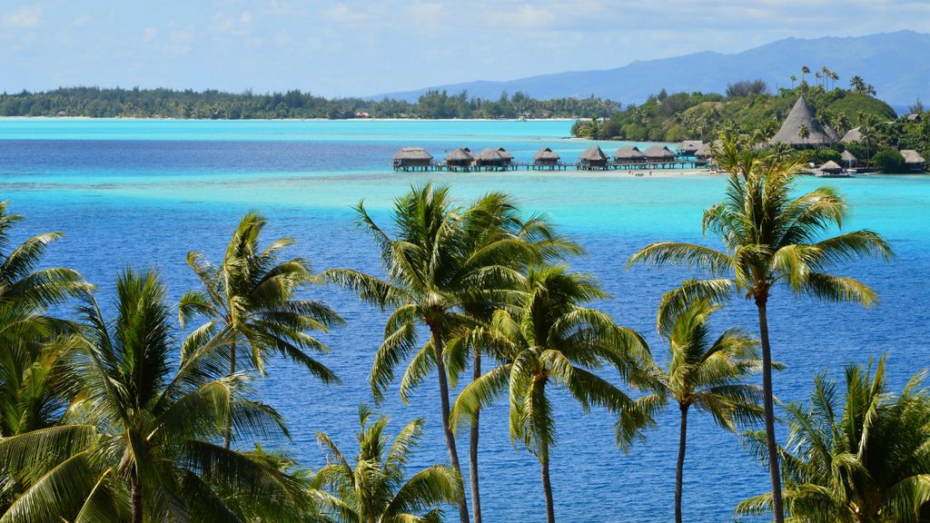 Scenic tropical seascape with palm trees and overwater bungalows.